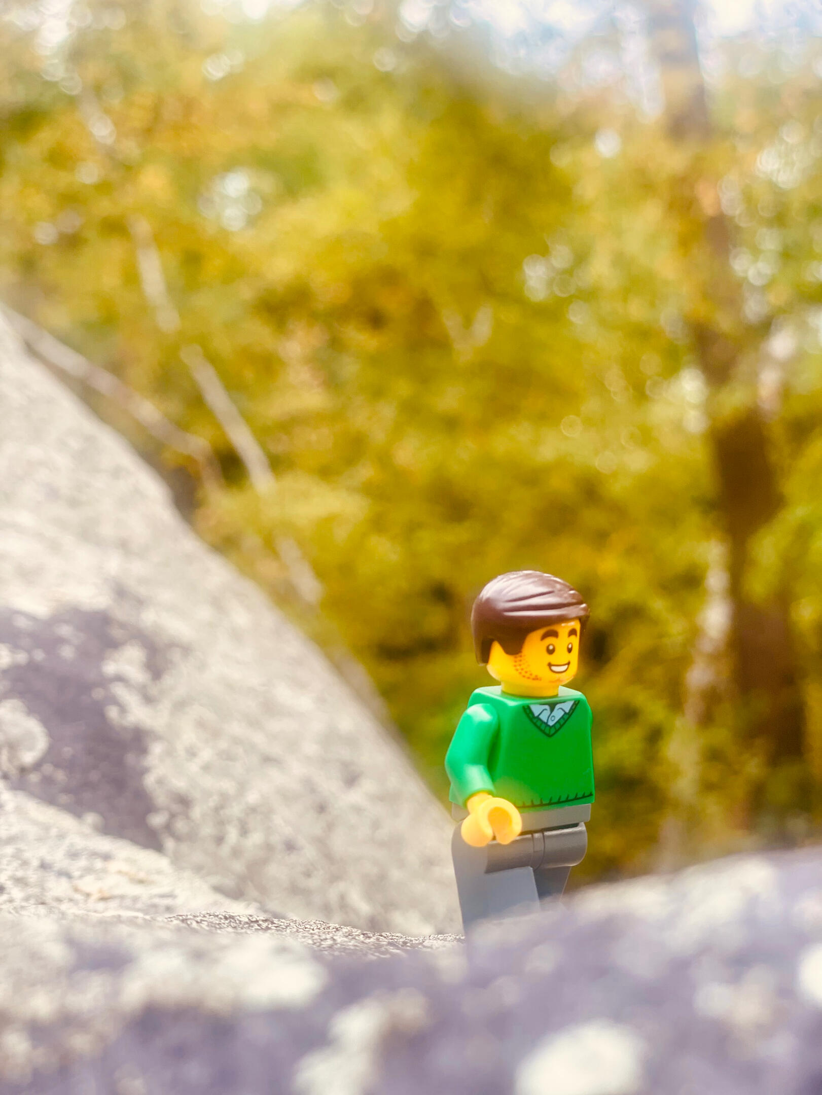 Minifigure Minifigure