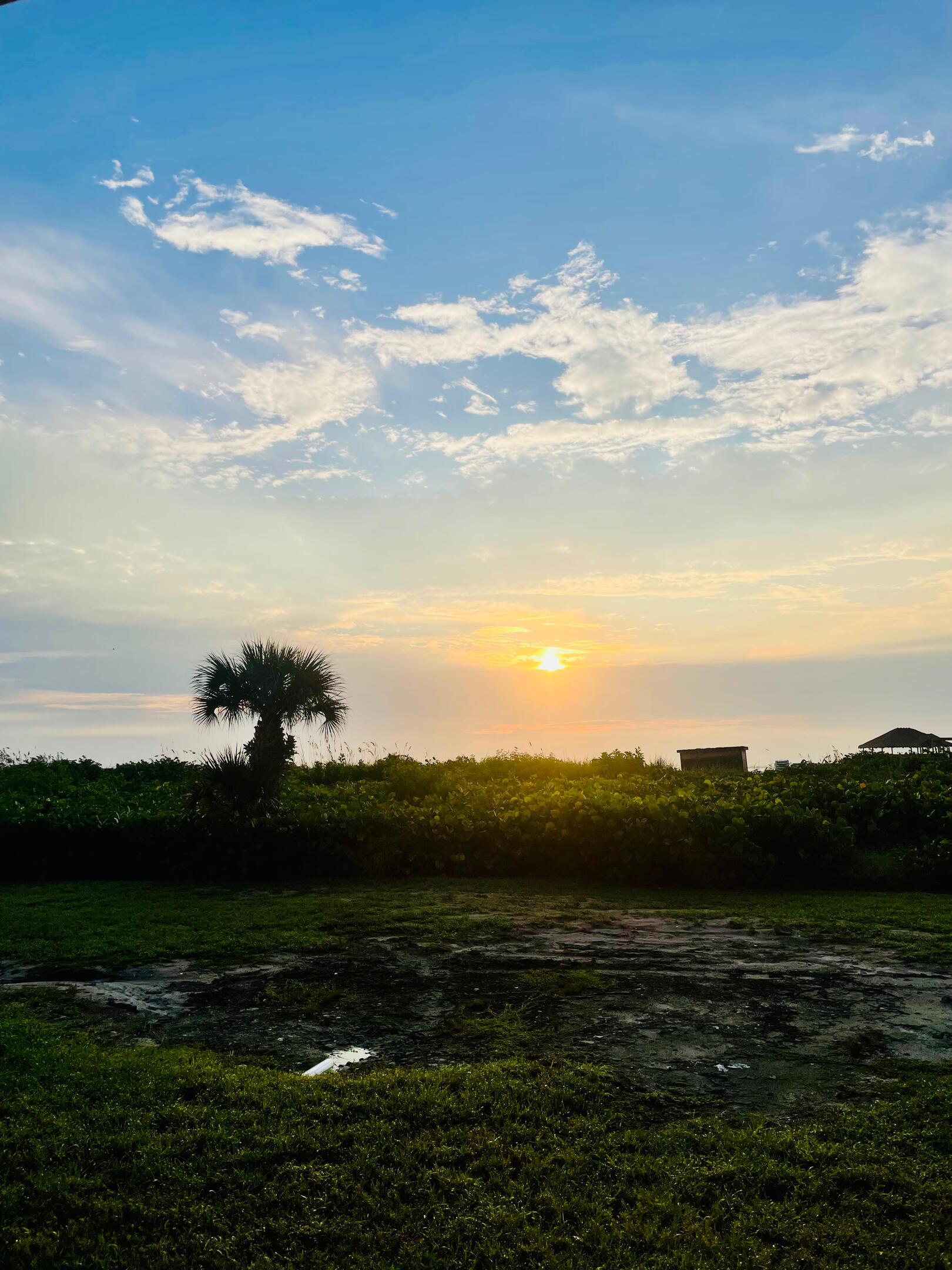 Florida Florida