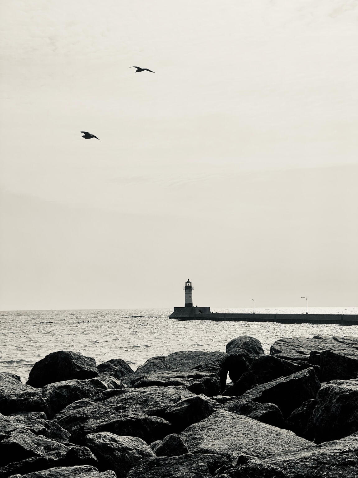 Lighthouse with birds Lighthouse with birds