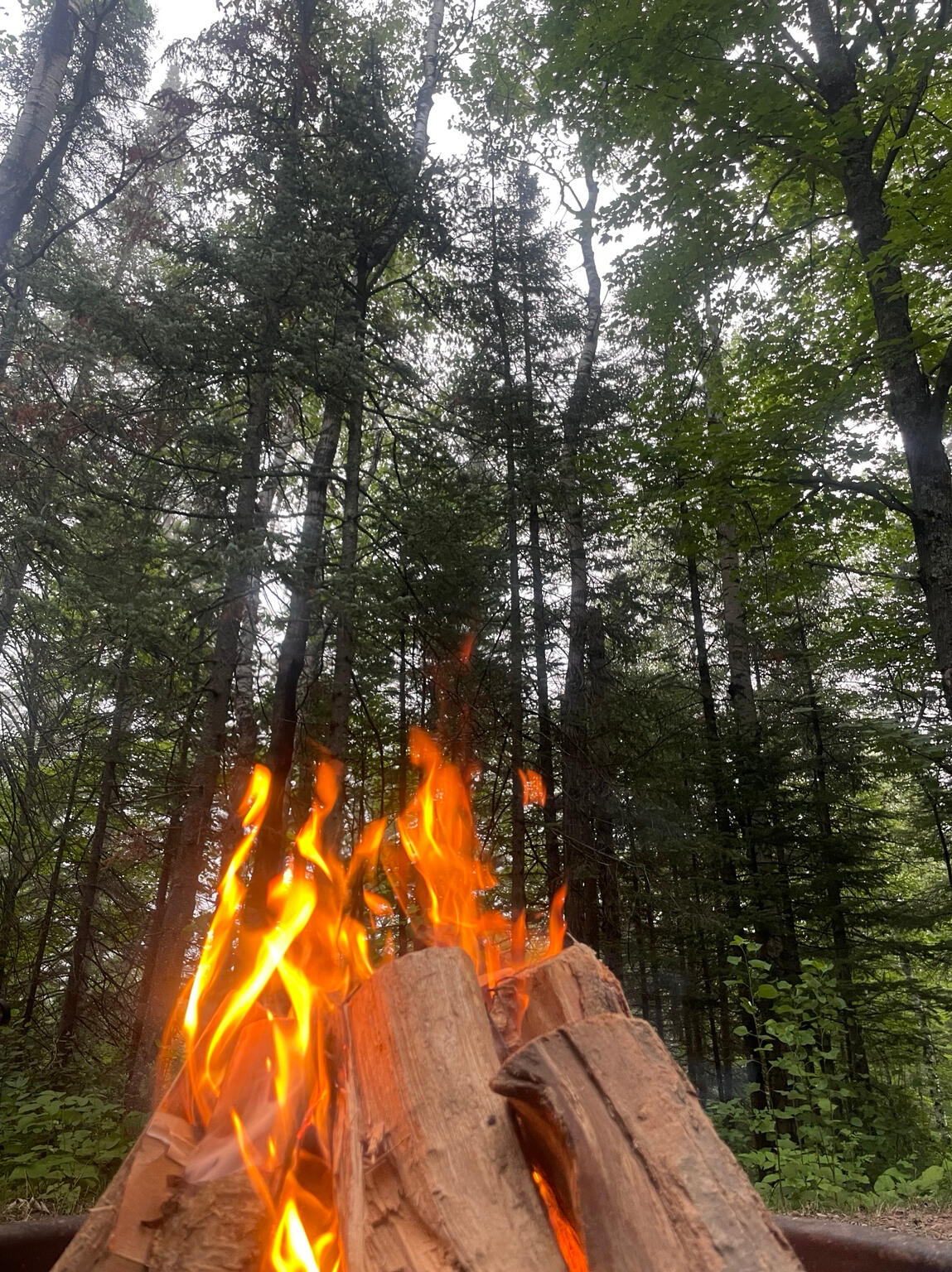 Camp fire