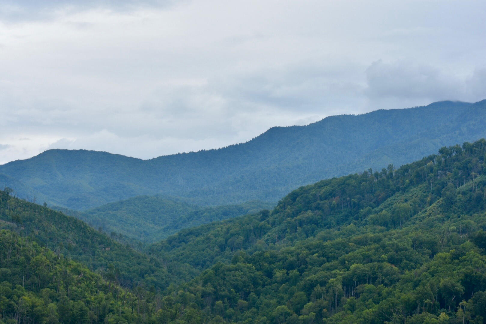 Great smoky mountains