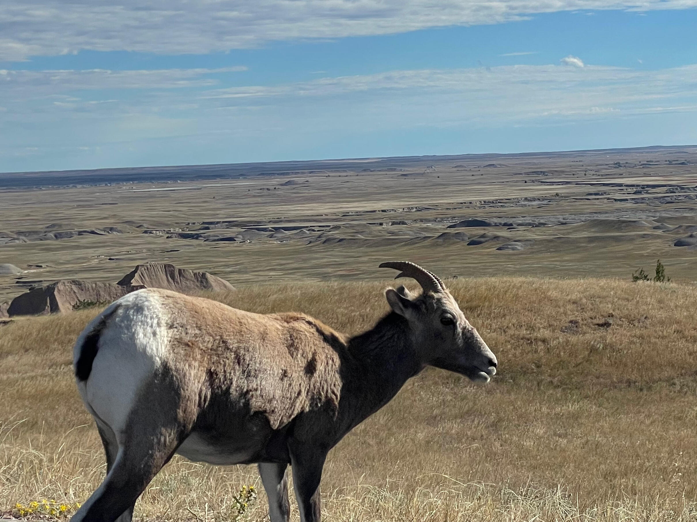 Badlands