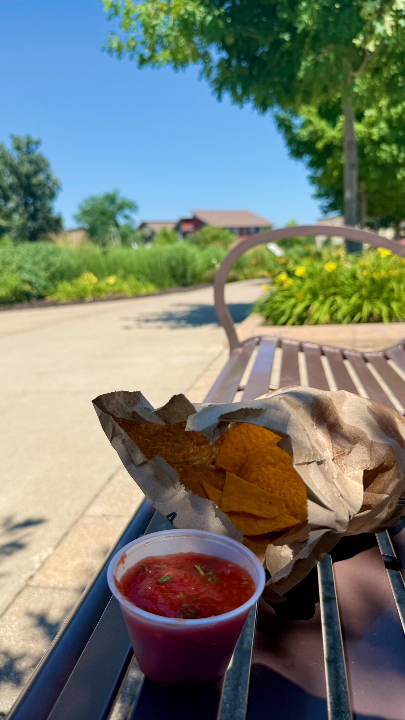 Chips and salsa